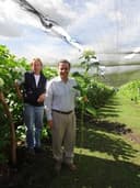 Luis Balcazar, President of Riverdale Farms